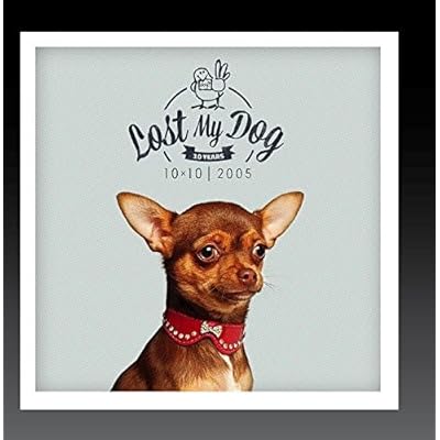 Lost My Dog 10 x 10 - 2005