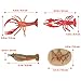 Lobster Toy Sea Animal Growth Toys Life Cycle of Crab Realistic Looking Crawfish Sea Marine Party Favors Toy for Cake Toppers Decoration