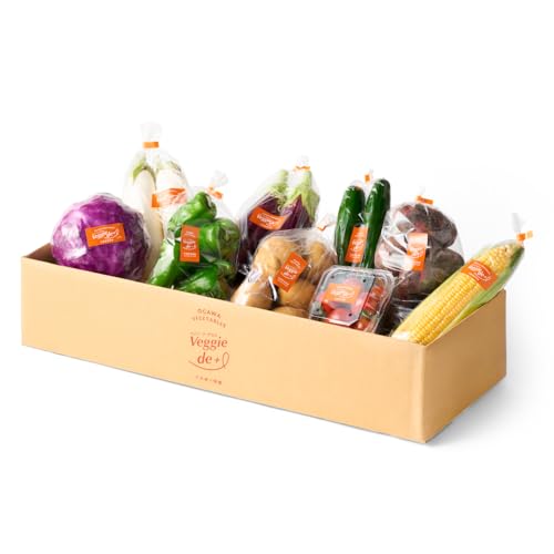 [豊岡市]旬の新鮮なお野菜を産地直送!ベジプラ特選 旬の野菜セット ベジーデ プラス