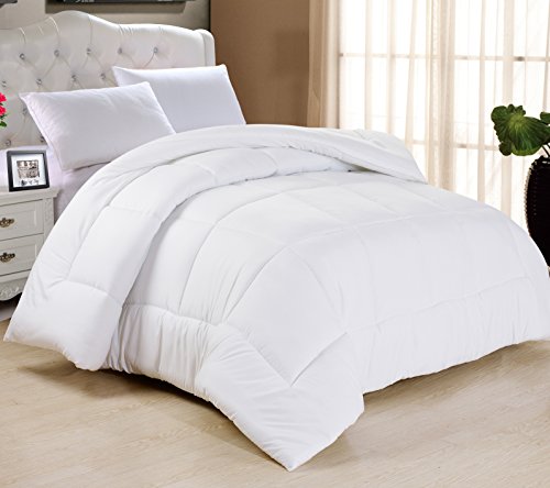 Swift Home All-Season Extra Soft Luxurious Classic Light-Warmth Goose Down-Alternative Comforter, 104