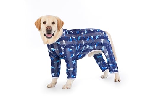 Kukaster Hundebody Nach Op