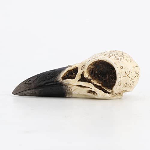 Escultura de Calavera de Cuervo Ritual Veronese Design miniatura 3
