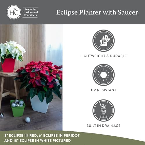 The HC Companies Eclipse Square Plastic Planter w/Attached Saucer - Outdoor & Indoor Plant Pot with Drainage Holes - Lightweight, UV-Resistant Plastic Pots for Plants (12" Warm Gray, Pack of 1) - 3
