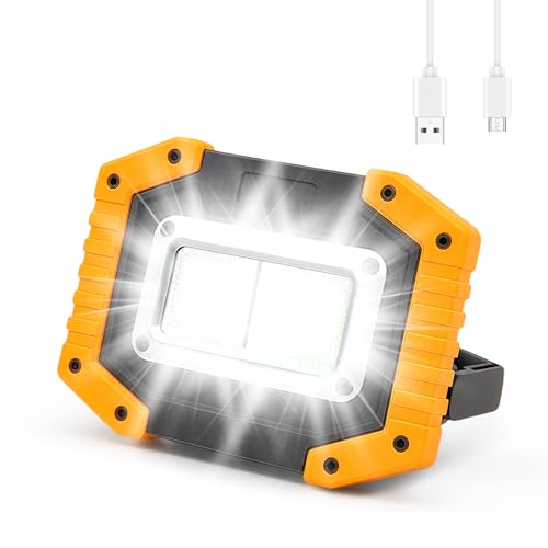 Rechargeable 30W LED Work Light,3 Modes 2000LM Portable COB Floodlight Waterproof Camping Lights, Security Lights Outdoor for Garage Hiking Fishing Emergency (Batteries Included)