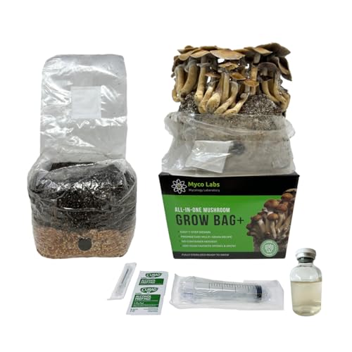 Myco Labs All-in-One Mushroom Grow Bag (4 lbs) for...
