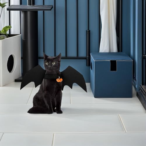 Costume chauve-souris animaux 3 pièces déguisement Halloween léger et ajustable
