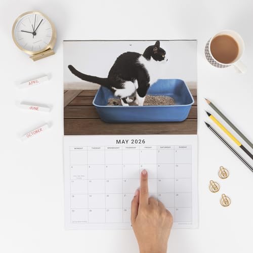 2026 Funny Cat Pooping Calendar - Image 6