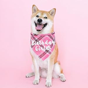 JOTFA Dog Birthday Bandana, Multi Sizes Birthday Bandana for Dogs Dog Birthday Girl Bandana for Medium Large Dogs Pets (Pink, Large) JOTFA Dog Birthday Bandana, Multi Sizes Birthday Bandana for Dogs Dog Birthday Girl Bandana for Medium Large Dogs Pets (Pink, Large)