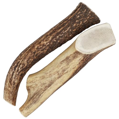 Mighty Paw Split Elk Antlers for Dogs (Sourced in The USA) | 2 Whole Large 8"+ Long Lasting Bones for Aggressive Chewers - Naturally Shed Split Deer Antler for Dogs - Low Odor Chews (Pack of