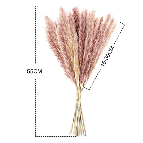 IKEEYUIS 15 peças de buquê de grama seca pampas decoração junco seco para festa