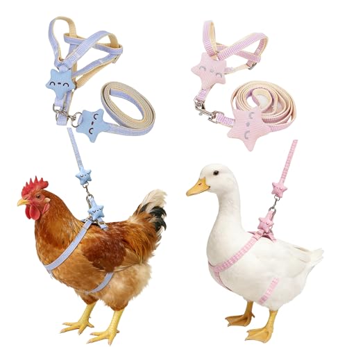 2 Pcs Adjustable Chicken Harness and Leash Set Comfortable Duck Harness and Leash for Real Ducks Upgraded Easy to wear Chicken Vest Goose Traction Rope with Cute Stars (Blue Pink)
