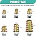 Taiss 170PCS Threaded Inserts Nuts,6 Sizes Wood Threaded Insert Kit,Furniture Screw in Nut Wood Inserts M4/M5/M6/M8 Threaded Inserts for Wood,Hex Socket Drive Screw Inserts for Wood Furniture,Cabinet