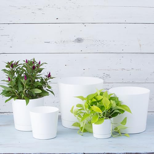 Novelty Majestic Full Depth Cylinder Pot, Glossy White, 12-Inch (10122) by Root & Vessel - Image 5