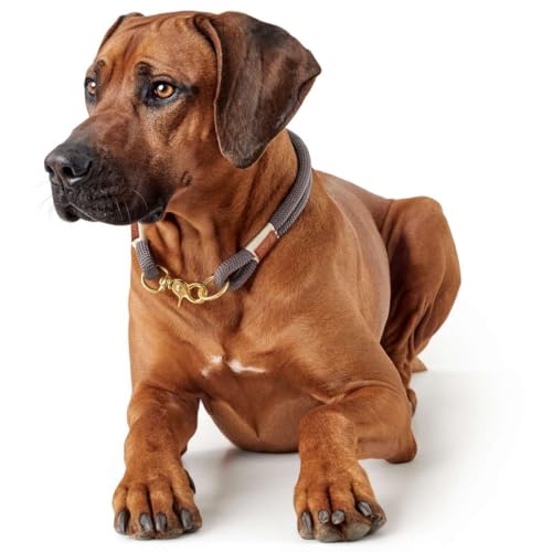 HUNTER Sansibar Rantum Halsung, Halsband für Hunde, Tau, Modern, Nautisch, Grau, 50 (M-L)