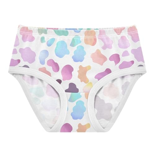 Aesthetic Toddler Underwear Floral 2t Cotton Girl Panties Cute Leopard Print Rainbow Briefs Kids Undies