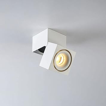 Spotlightadjustable Ceiling Spotlight Fixture Led Surface Accent Spotlight Indoor Downlight, Living Room Kitchen Island Picture Light Mini Accent Spotlight/White-6500K