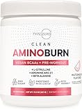 Type Zero AminoBurn (Watermelon Flavored) - Vegan Amino Acids BCAA Drink Sugar-Free Energy Drink Powder & Amino Acids Supplement - Natural Energy