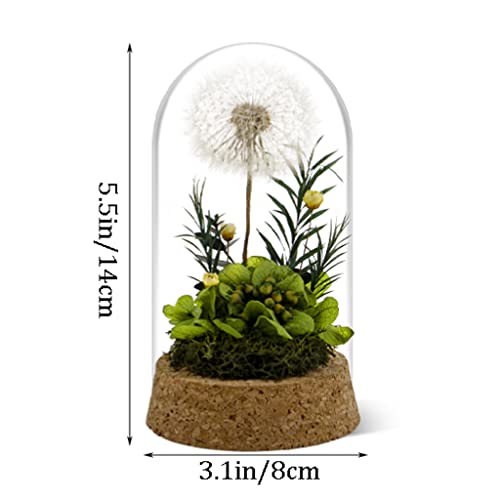 Flores preservadas Dente-de-leão buquê Flores preservadas em decoração de vidro Flores artificiais,p