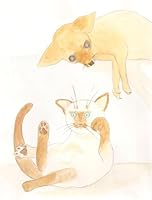 "Adventures of Sally the Cat: My First Chapter Book" 1606436554 Book Cover