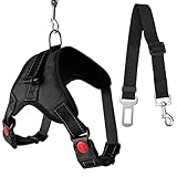 Arnés para Perro Ajustable Y Cinturón De Seguridad De Coche para Perro / Collar Adiestramiento Transpirable con Líneas Reflectantes para Perro Pequeño, Mediano Y Grande (M)