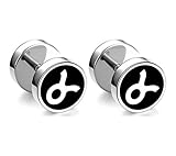 Xusamss Fashion Stainless Steel Twelve Constellation Barbell Stud Earrings