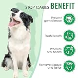 Zoom IMG-2 100g cura dei denti polvere Zoom IMG-2 100g cura dei denti polvere