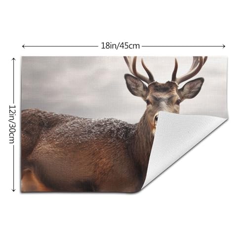Sets de table antidérapants en PVC lot de 4 pour protéger la table des plats chauds - 5