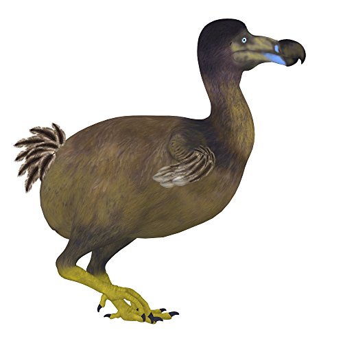 Dodo bird side view The Dodo is an extinct flightless bird that lived on Mauritius Island in the Indian Ocean Poster Print (14 x 14)