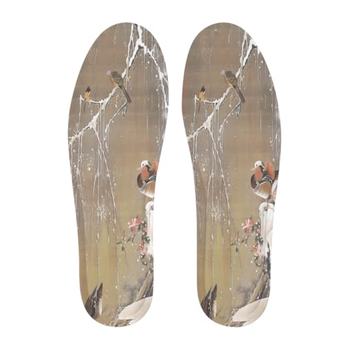 ɓt A\G ᒆ} C\[ C NbV ~ ᔽ y ʋC z _炩 K 傫TCY Ch~ 􂦂 X|[cV[Y oXPbg{[V[Y TbJ[V[Yp i lGʂ jp