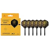 CUESOUL Rost AK5 Arbre de fléchettes intégrée et Vols avec Conception Moderne et Taille...