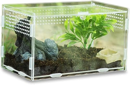Caja de alimentación de Insectos Caja de cría de Reptiles Recipiente de terrario acrílico Transparente para Tachuelas escorpión Rana Cuernos hábitat portátil para Mascotas 20 x 12 x 12 cm