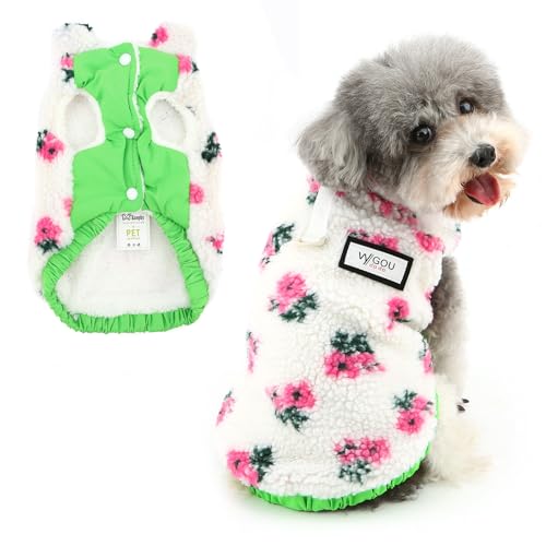 RANPHY   H ~ AE^[ ̕ 킢 ԕ t[XWPbg hR[gt[Xn ̎qgH~ ȂxXg ^ ^ q LybgmDOtUBeʐ^,sN,XXL