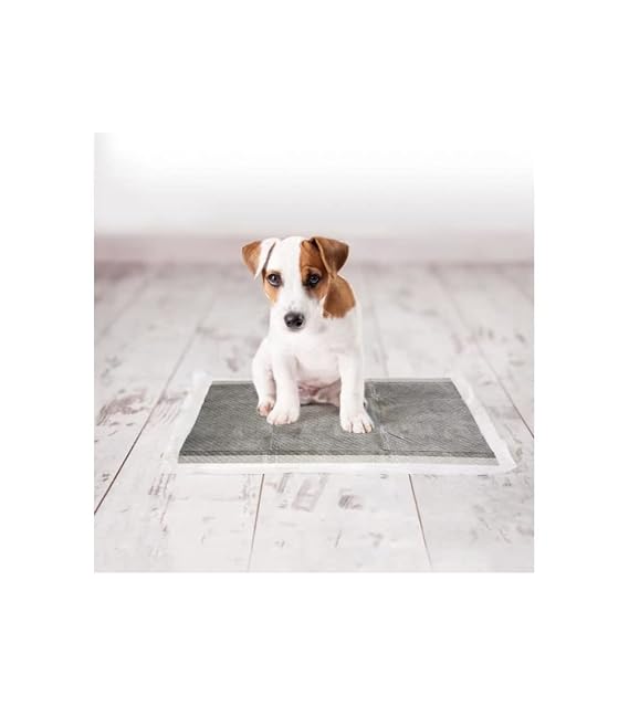 Foto 2 de 3 de DUVO P-Pad Carbon Large L - 30pcs - 45 x 60 cm