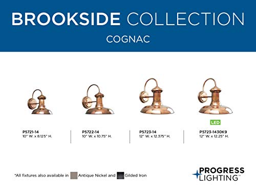 Progress Lighting P5721-14 Brookside Outdoor, 8-Inch Width X 9-3/4-Inch Height, Brown #TOP6