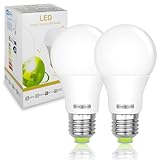 BROLSKUN E27 12V LED Lampe Warmweiss 2700K 60W 12v E27 6W LED AC12V / DC 12V-24V Glühbirne 50W 12 Volt Birnen für Sonnensystem, Wohnmobil, Boot, Innen Niederspannungs Sicherheitsbeleuchtung 2er Pack