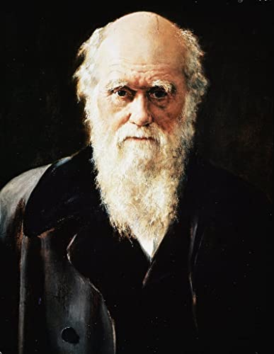 Portrait Charles Darwin tableau vintage, impression d'art mural salon et chambre 60x90