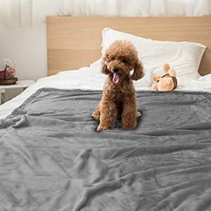 PetAmi-WATERPROOF-Dog-Blanket-for-Medium-Large-Dog-Pet-Puppy-Blanket-Couch-Cover-Protection-Sherpa-Fleece-Cat-Blanket-Sofa-Bed-Furniture-Protector-Reversible-Soft-Plush-Washable-60x40-Light-Grey - Cucciolini Doodles PetAmi-WATERPROOF-Dog-Blanket-for-Medium-Large-Dog-Pet-Puppy-Blanket-Couch-Cover-Protection-Sherpa-Fleece-Cat-Blanket-Sofa-Bed-Furniture-Protector-Reversible-Soft-Plush-Washable-60x40-Light-Grey