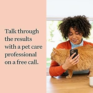 Wisdom Panel Complete: Comprehensive Cat DNA Test kit for 45 Health Genetic Health Conditions, 70+ Breeds and populations, 25+ Traits, Blood Type – 1 Pack