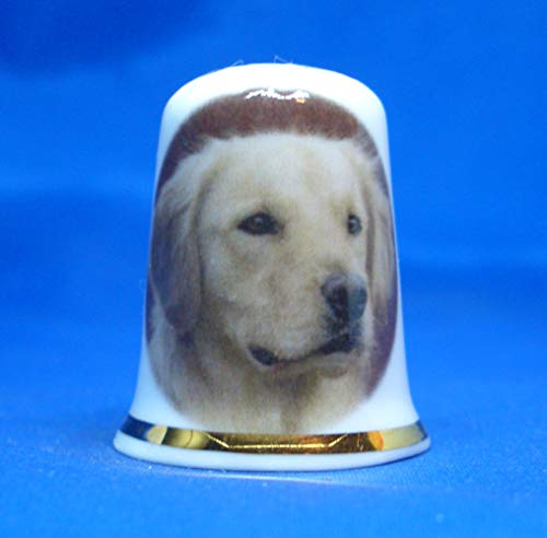 Birchcroft China Porcelaine Fine à Collectionner Dé à Coudre Chihuahua