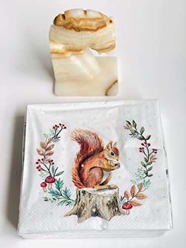 Nantucket 40-Ct 13X13 Squirrel Napkins Paper Animal Napkins Decoupage Berry Nuts Mushroom Thanksgiving Napkins Fall Paper Napkins Fall Cocktail Napkins Winter Dinner Napkin, Multicolor #TOP4
