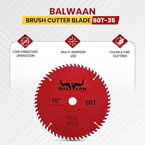 Balwaan Krishi Brush Cutter Blade 10 Inch - Image 3