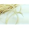 5''-9.5'' Feathers Fly Tying Materials for stonefly nymph split tails& down wings 50pcs/pack (Beige)