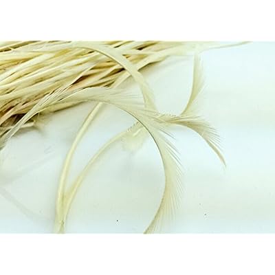 5''-9.5'' Feathers Fly Tying Materials for stonefly nymph split tails& down wings 50pcs/pack (Beige)