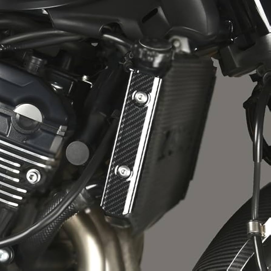 Amazon | Kazuma 互換性のある Z900RS 2018-2020 ラジエターサイド