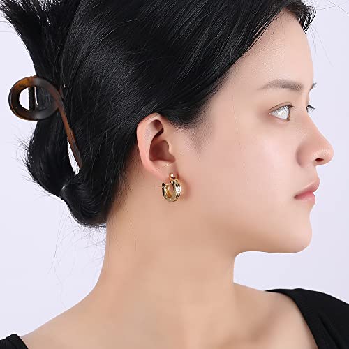 Czyjew White Gold Plated Hoop Earrings For Women 925 Sterling Silver Post Hoop Earrings For Girls Mini White Gold Hoop Earrings Cz Gems For Women Pendientes De Aro Dorado #TOP4