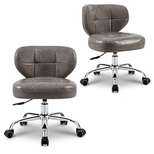 Paddie Pedicure Stools for Nail Tech Set of 2, Hydraulic Salon Spa Stool Back Support Short Height Adjustable Swivel Chair, Perfect for Massage/Tattoo/Esthetician/Shop/Medical, Grey