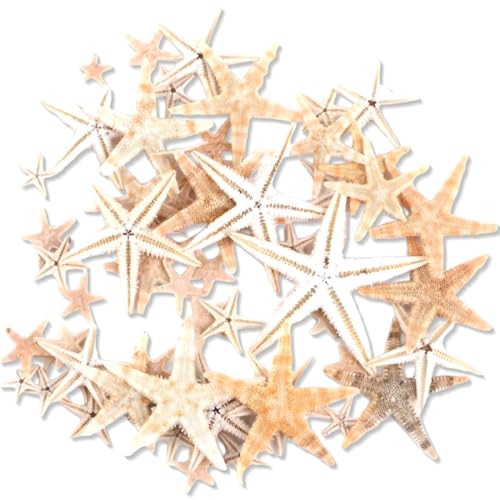 JEYORZY 50 peças de elementos marinhos de estrela do mar, 1-2 cm acessórios de fotografia, decoração de casa, materiais artesanais DIY, microornamentos para paisagem