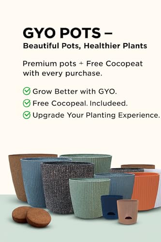 Image of GYOPOTS Self-Watering 11.5 cm Flower Pot for Living Room and Home Decor | Premium Ribbed Texture with self-watering system | Pack of 4 (2 Blue + 2 Brown) with Free Cocopeat | For Indoor & Outdoor Use