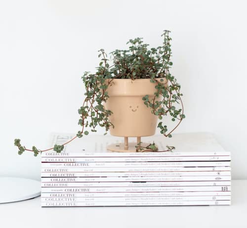 Standing-Indoor-Plant-Pot-Unique-Cute-Flower-Pot-with-Face-SucculentCactus-Planter-with-Drainage-Hole-Decorative-Plant-Pot-35-Inch-Novelty-Planter-1-x-Standing-Pot Standing-Indoor-Plant-Pot-Unique-Cute-Flower-Pot-with-Face-SucculentCactus-Planter-with-Drainage-Hole-Decorative-Plant-Pot-35-Inch-Novelty-Planter-1-x-Standing-Pot