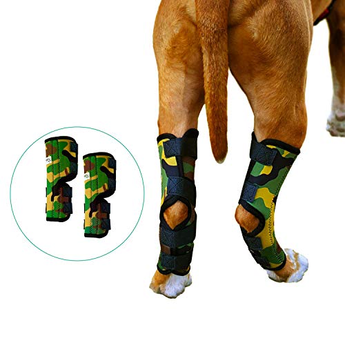 Top 10 Best Dog Knee Brace of 2020 Review Best Pet Pro